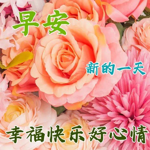 10月12日秋天早上好动态表情图片大全，早晨好动图美图大全 祝福 爱的 天气