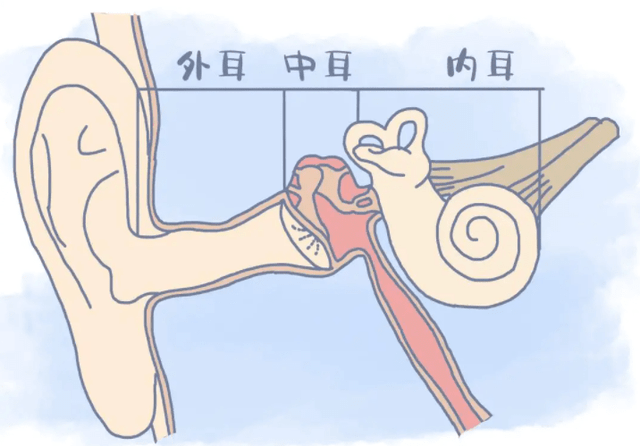骨传导能保护听力吗，有关于骨传导的科普及好处分享