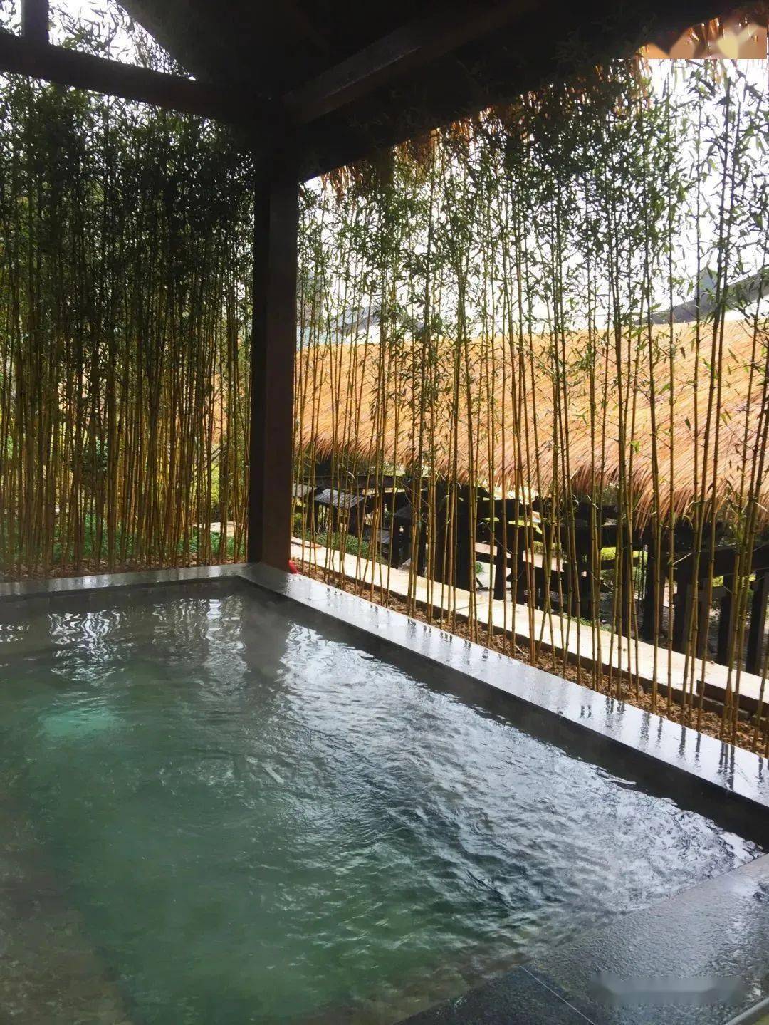 畅快的温泉飨宴泡温泉,来东钱湖君澜半山汤泉呀97本期推荐97◆ 东