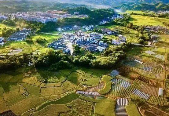 湘阴金龙镇燎原村: 乡村振兴搭舞台 三个书记一台戏_发展_肖天翼_集体