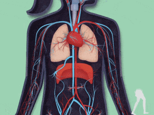 Semaglutide uses | Shaanxi BLOOM Tech Co., Ltd Semaglutide uses | Shaanxi BLOOM Tech Co., Ltd