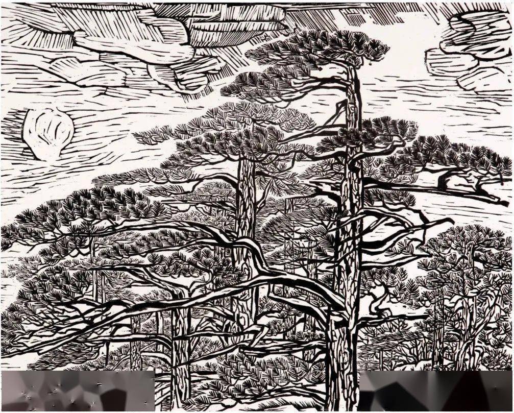 全国版画名家一一黑白木刻版画作品欣赏_中国_美术_国际