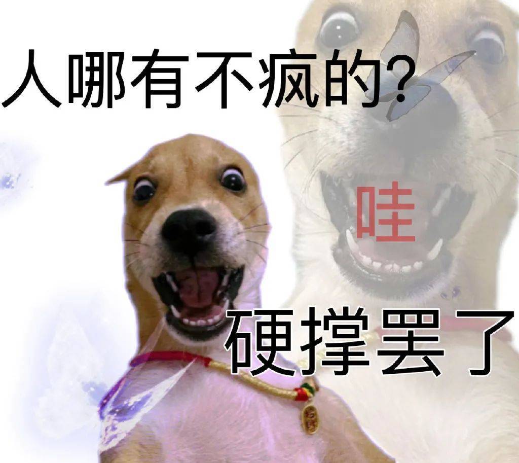 广西人怎么背着我们建了"疯狂动物城"