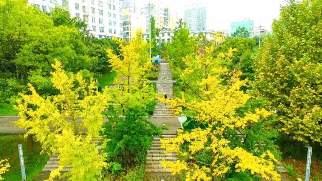 【盤州旅遊】週末去看看,這裡風景正好!_東湖公園_林華_樹葉