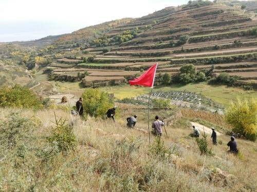 通渭新景：金秋十月植树忙山岭原野添新绿_手机搜狐网