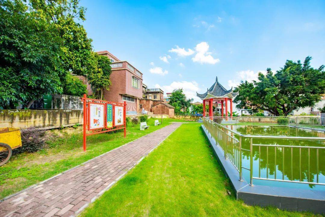 丹灶新安社区美得挪不开眼!_乡村_环境_人居