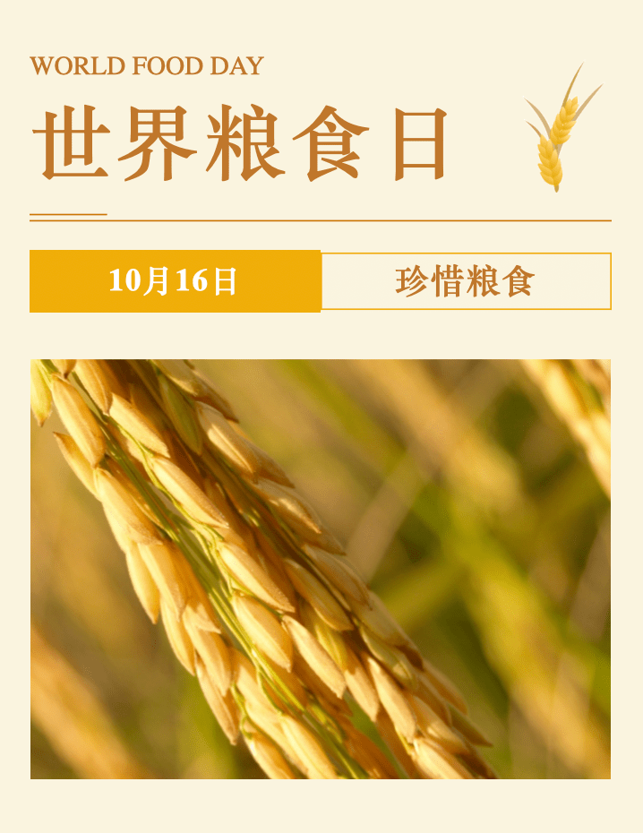 给孩子们的片子课 | 2022世界粮食日