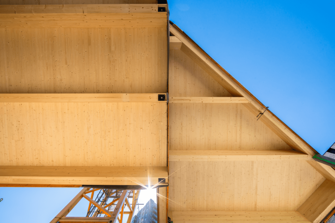 荷兰木楼板住宅楼完工,「碳中和」的一次实践_设计_建筑_木材