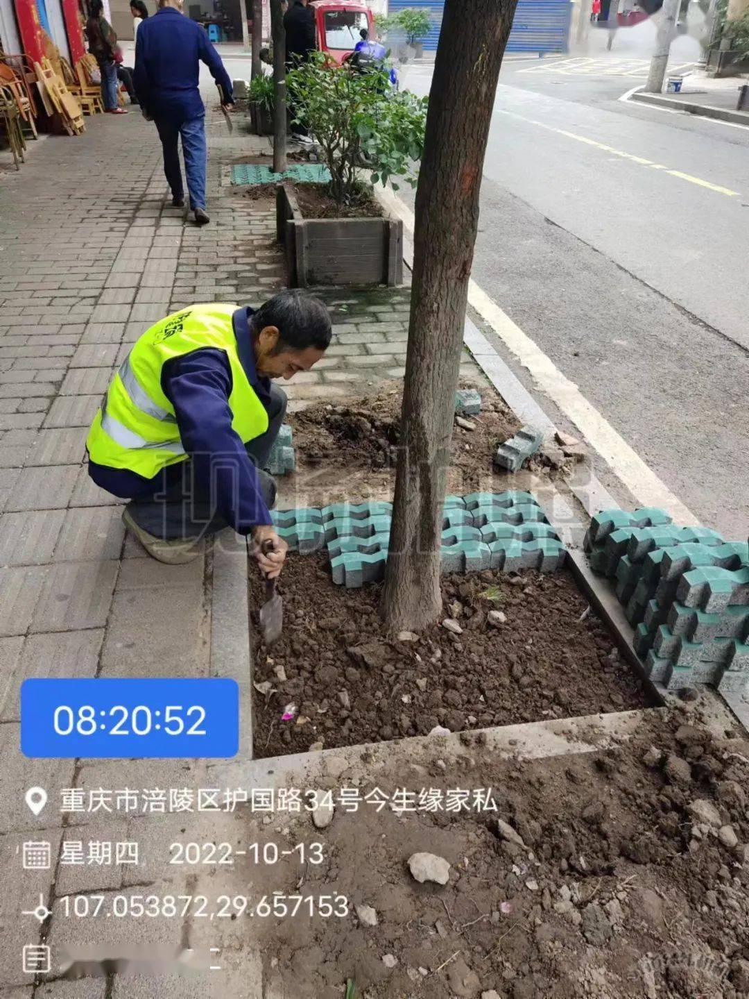 新妙镇改造行道树树圈 营造优美人居环境