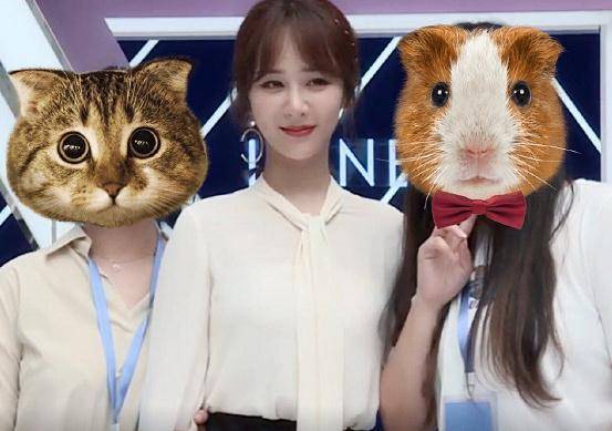 明星与粉丝合影,杨紫平易近人,看到关晓彤:难为了!_时候_几位_距离感