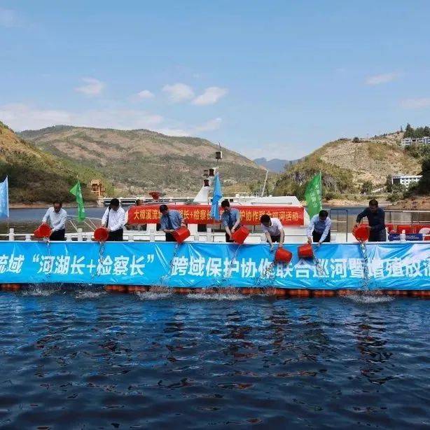 永泰“检察蓝”护“生态绿”,5万尾鱼苗“安家”大樟溪_活动_保护_河湖