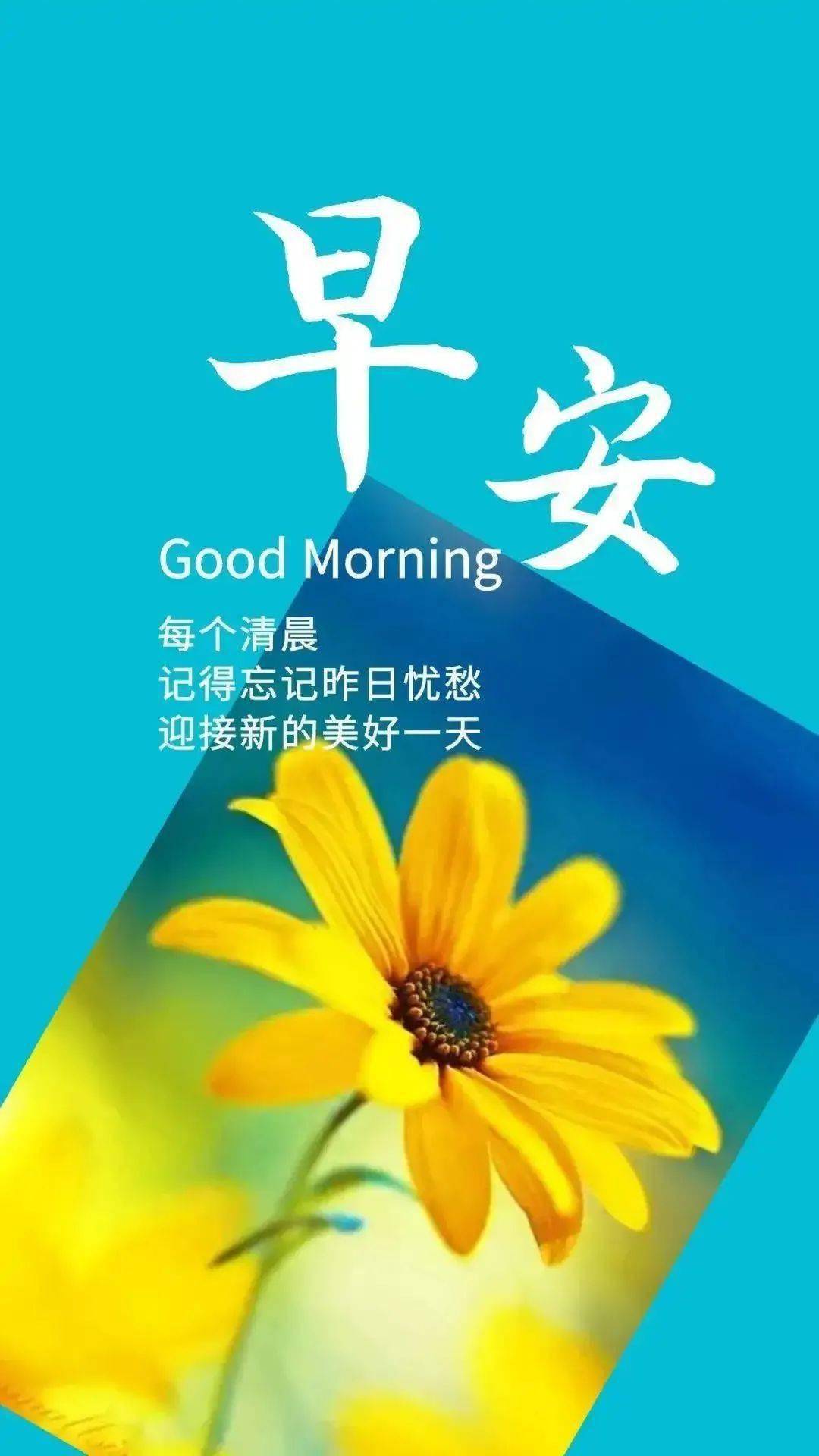 记得忘记=记得忘记胡歌刘诗诗