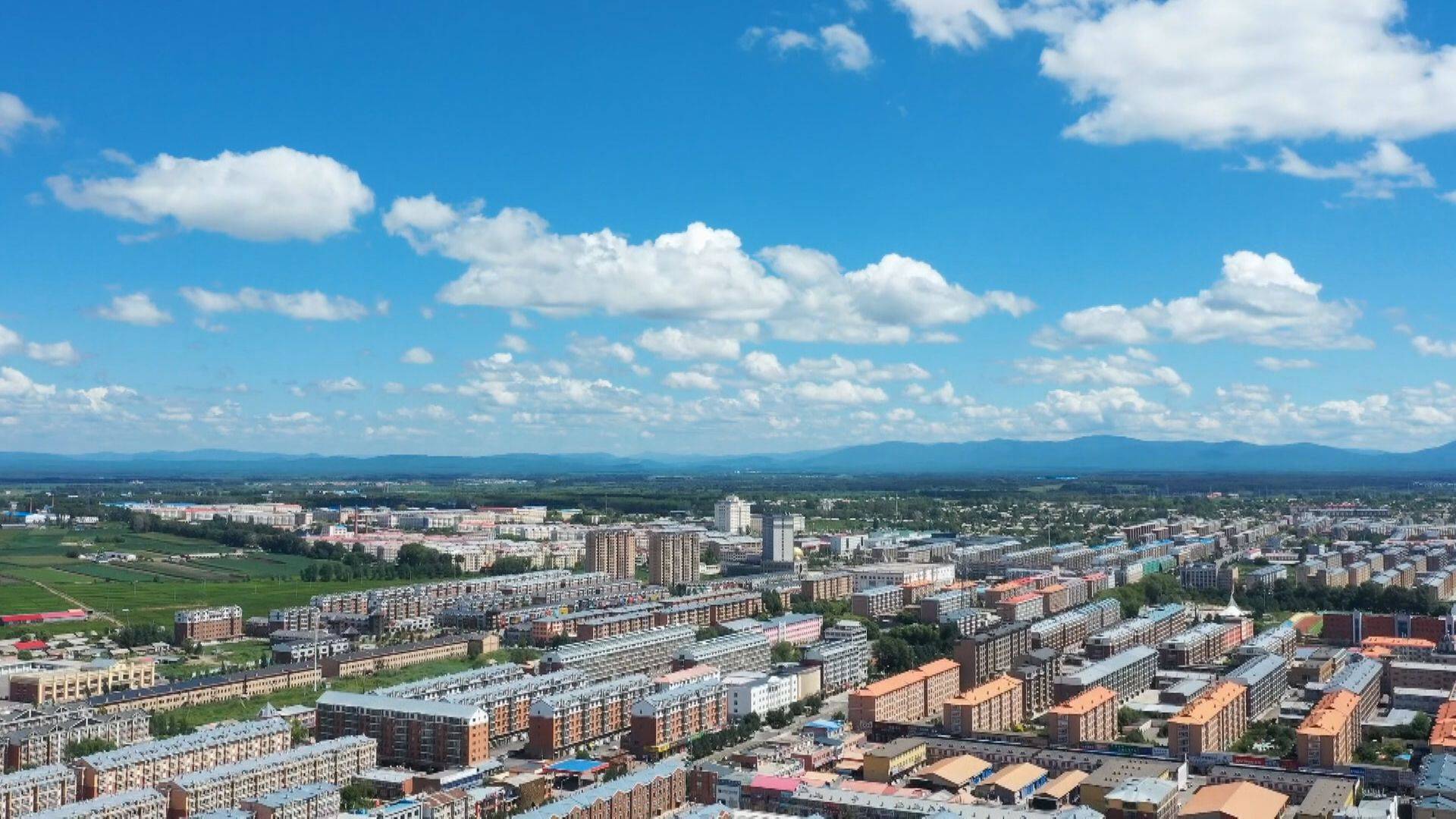 铁力市深化"放管服"改革 着力打造优化营商环境"桥头堡"_服务_工作