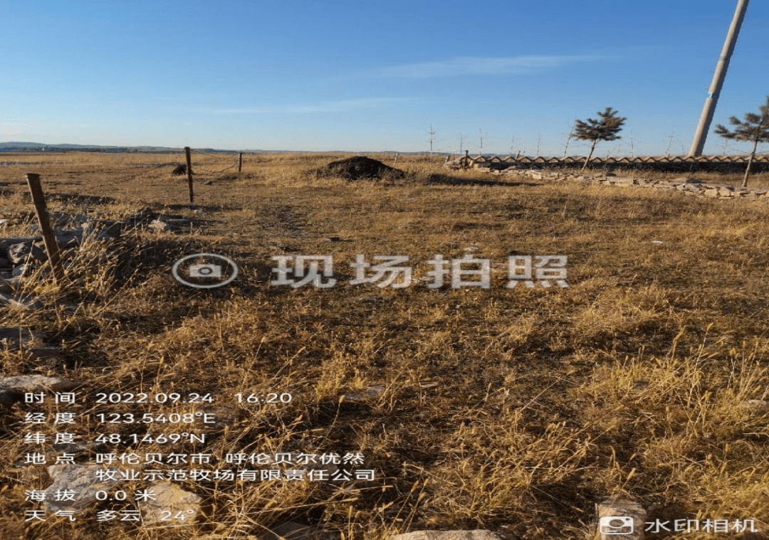 阿榮旗關於違建墓地尋找墓主的公告_那吉屯農場_那吉鎮_整治