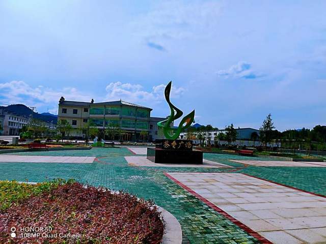为民打造城市绿洲