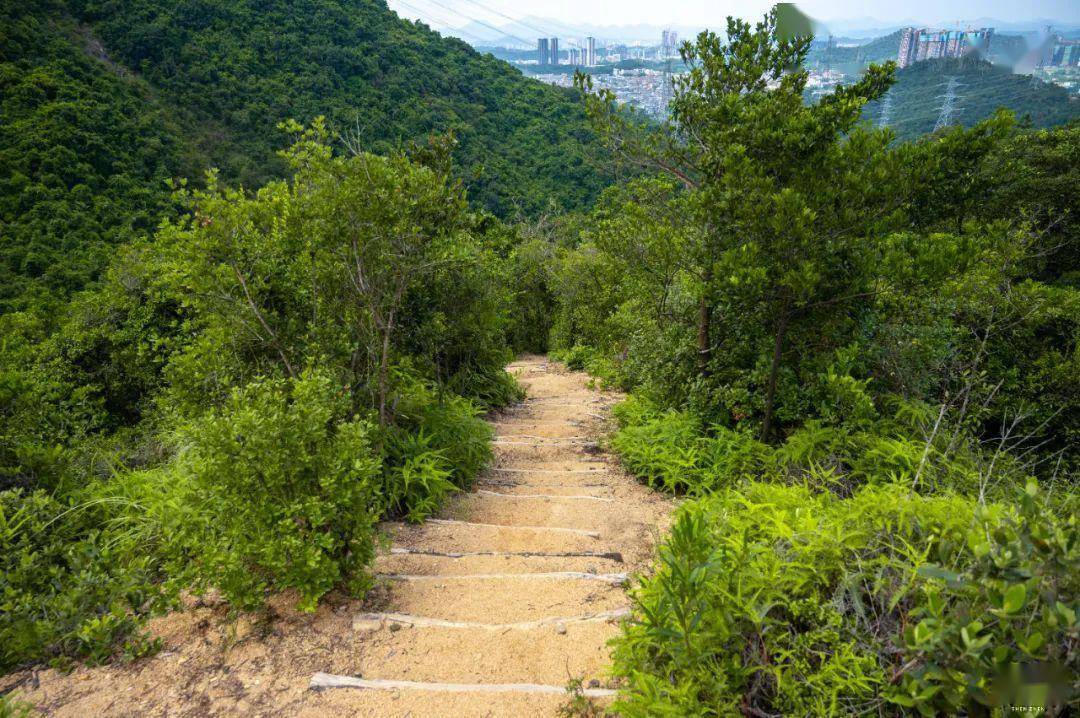 馬巒山手作步道,太好玩了_碧嶺_生態_公園