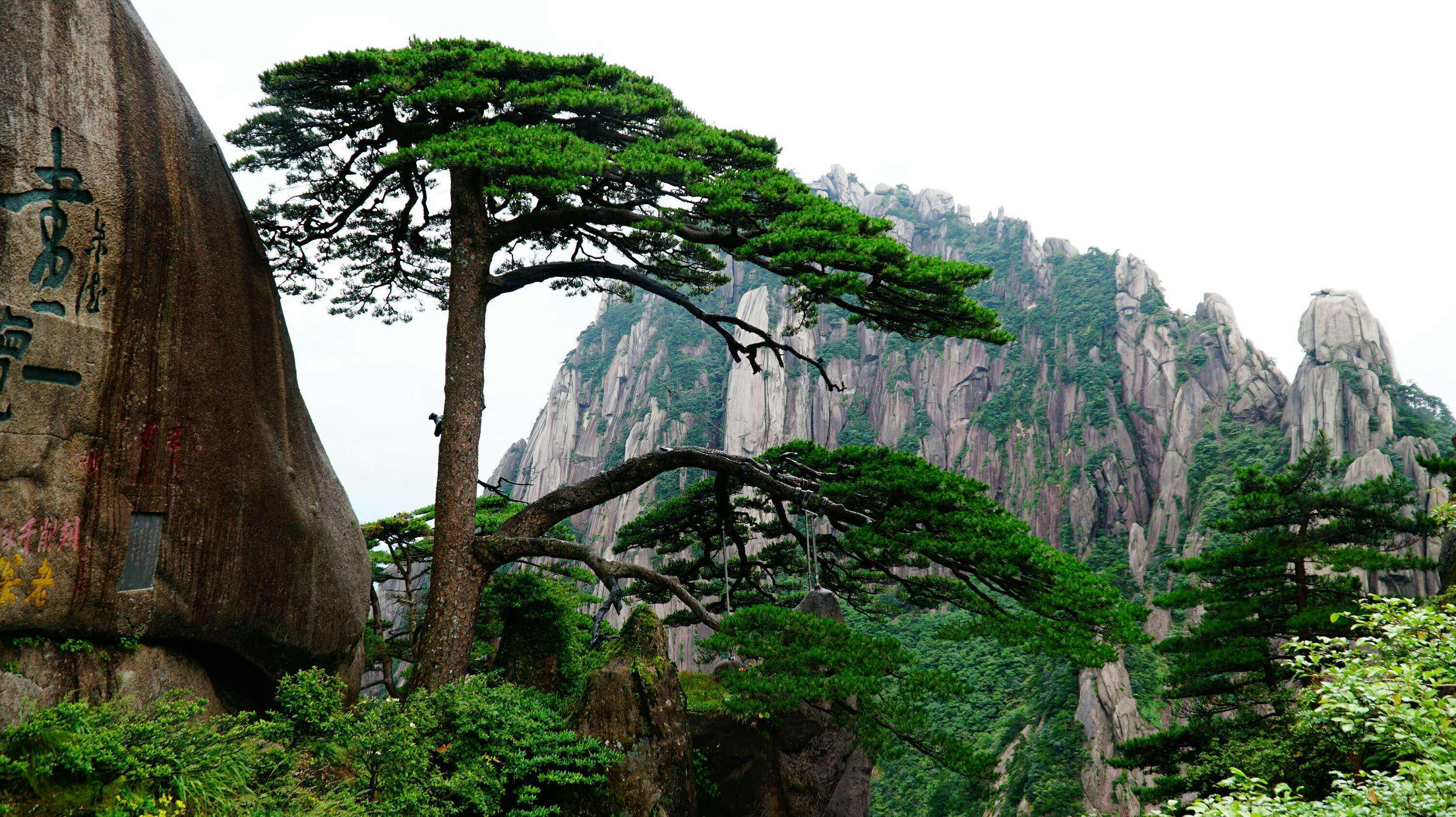 黄山市有哪些旅游景点图片