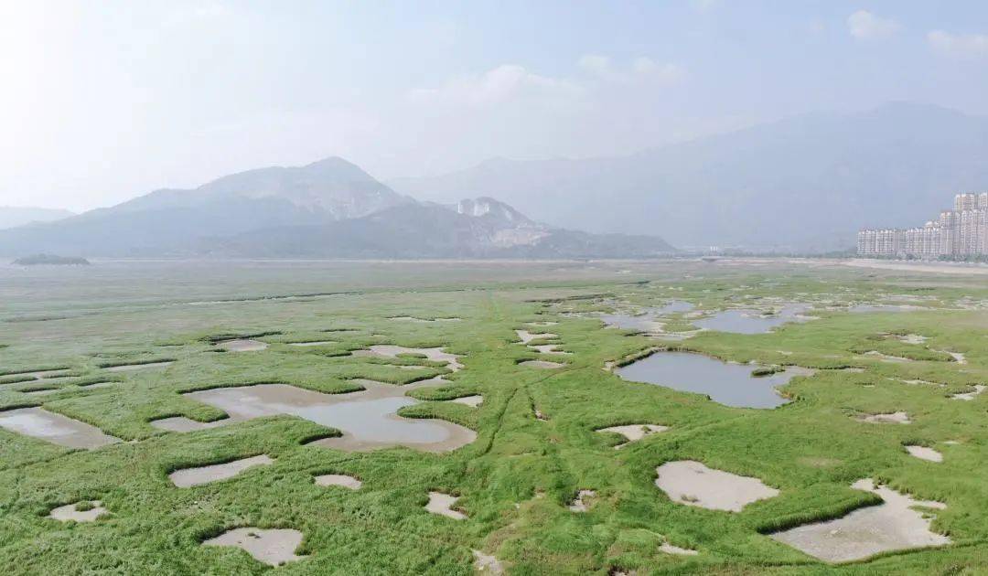 【地理资源】鄱阳湖空前干旱,候鸟过冬成大考,关于冷空气,你想知道的都在这!附气候专题超全总结_鄱阳湖空前干旱 候鸟过冬成大考_面积_进行