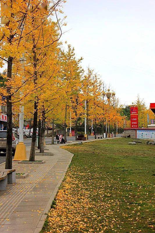 瓦窑小区_金色_东西