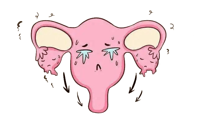 子宫_阴道_影响