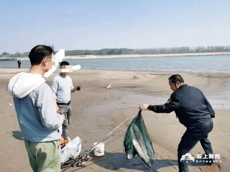 湖北监利柘木乡王曙林图片