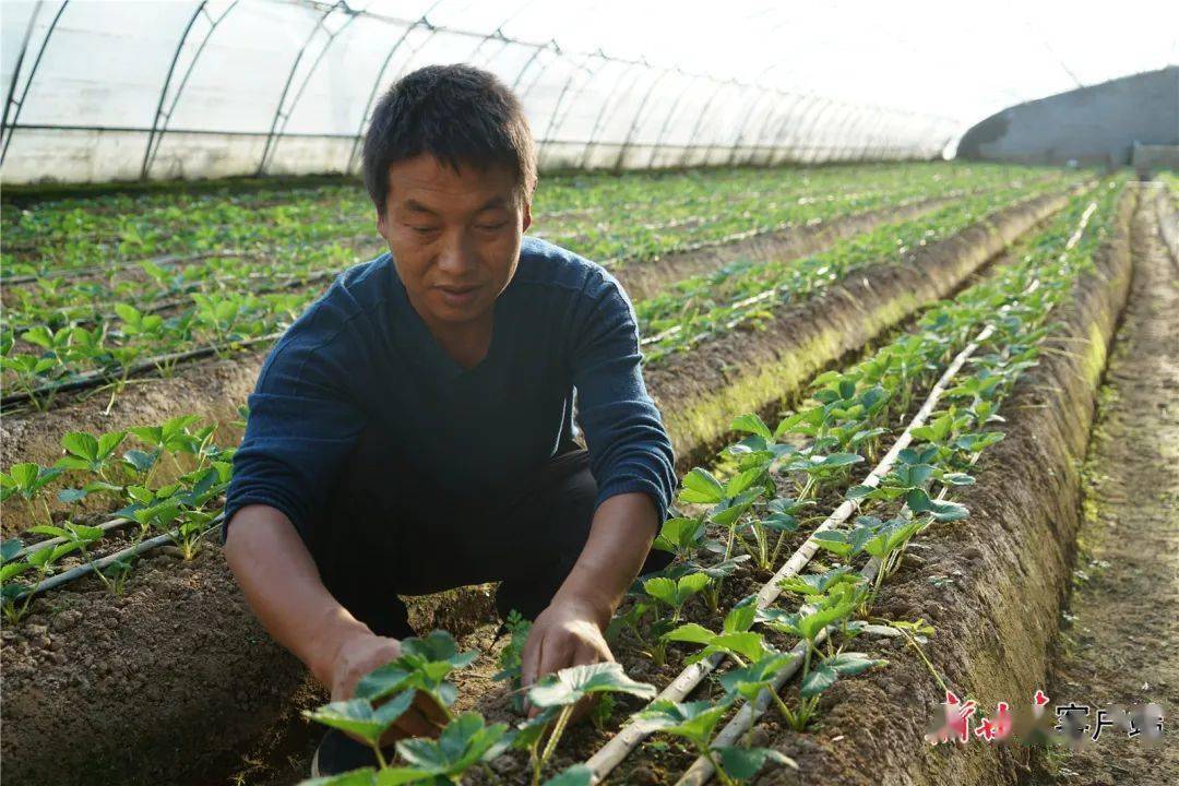 【热议二十大】以中国式现代化全面推进中华民族伟大复兴——我省干部群众热议党的二十大报告