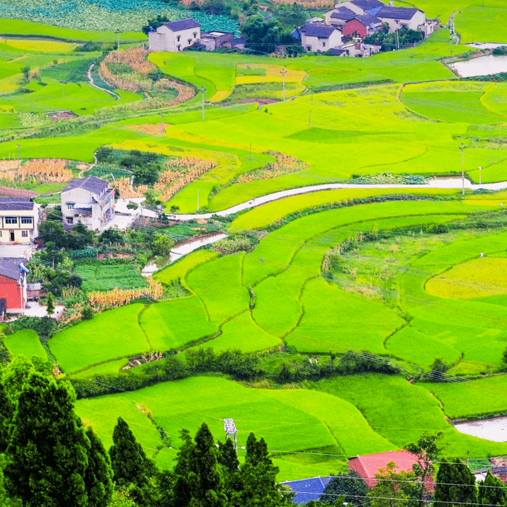 73石角镇,三角镇,丁山镇,永城镇,中峰镇,安稳镇,三江街道,篆塘镇