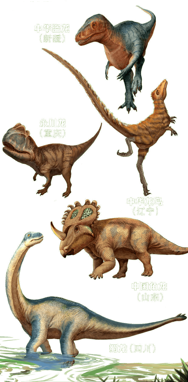 中国63种恐龙名称图片