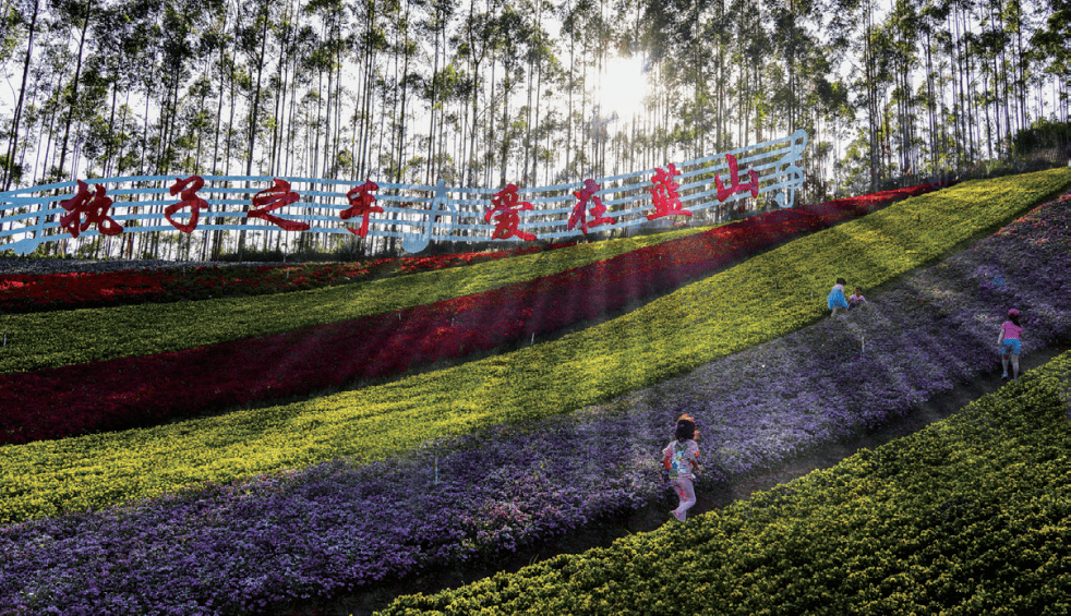 闽山闽水物华新 | 周末"趣"游 | 邂逅金秋,玩转长泰!_蓝山_景区_洋溪