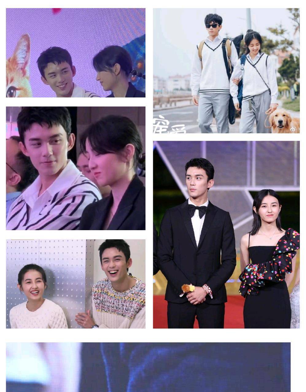 张新成张子枫这对cp也太甜了,期待这部剧_吴磊_妹妹_电影