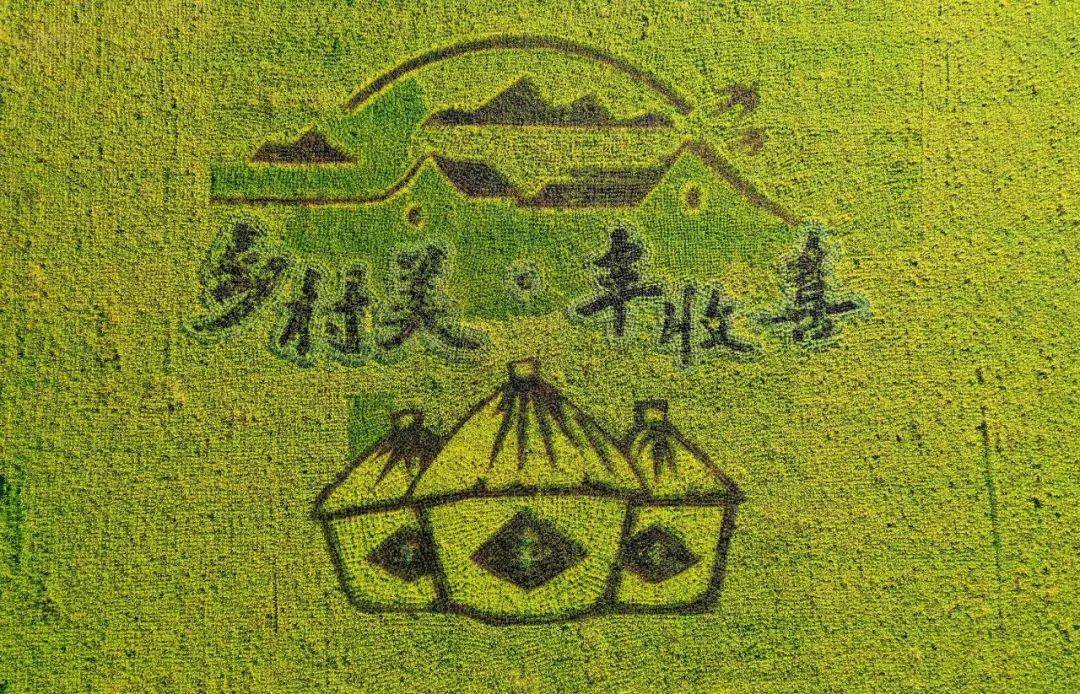东莞麻涌巨幅稻田画又上新,吸引众多游客打卡_水稻_发展_乡村