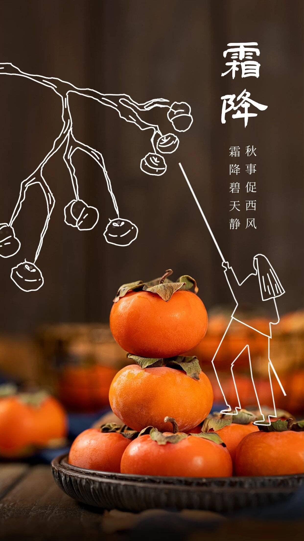 霜降碧天静,秋事促西风_柿子_朱元璋_节气