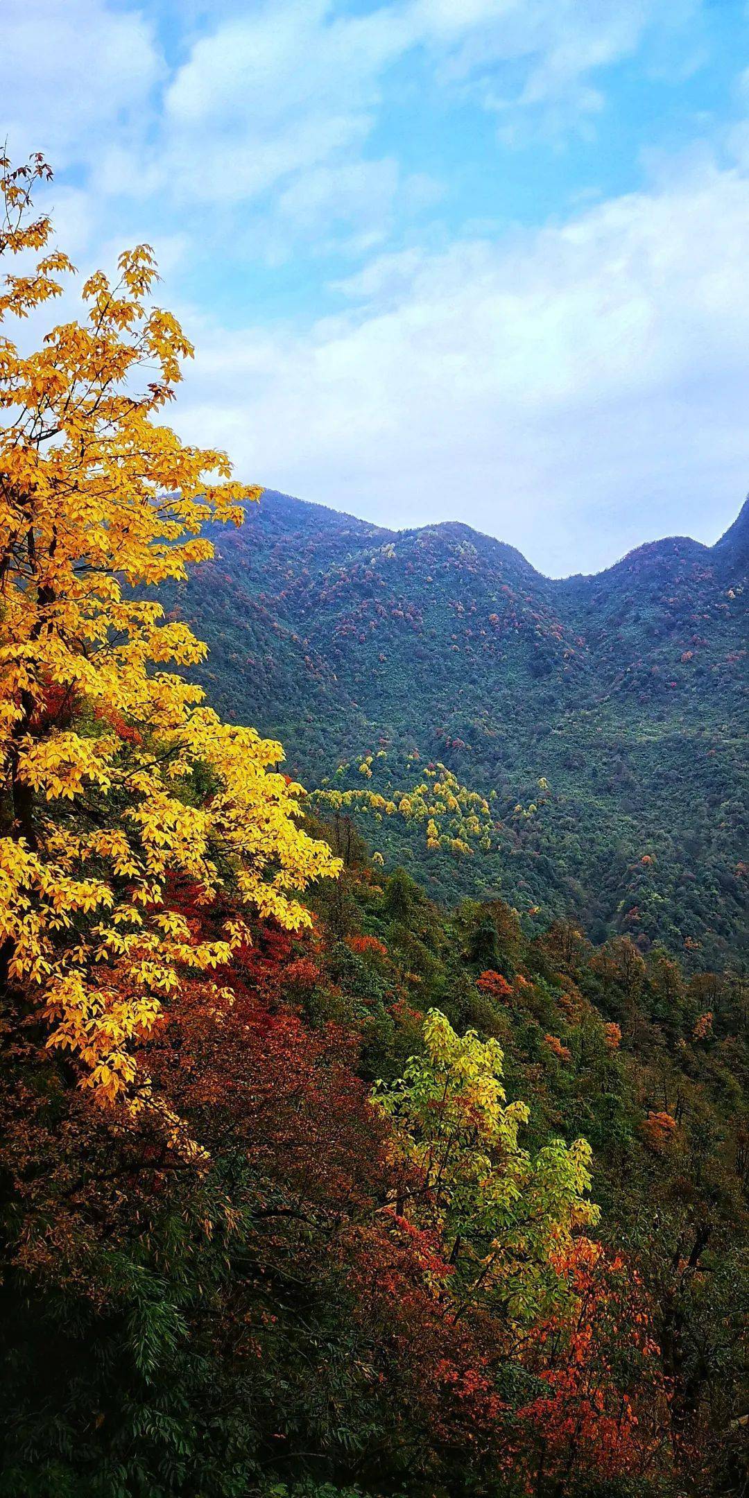 瓦屋山风景区照片图片