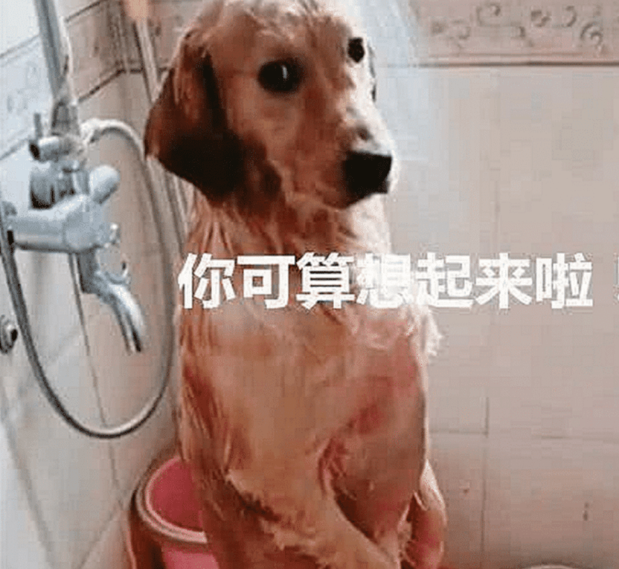 主人给金毛洗澡，洗到一半有急事出门，半个小时回来后看蒙圈了 
