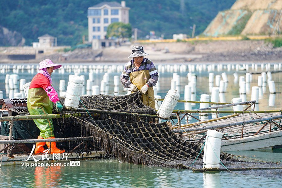 浙江寧波: