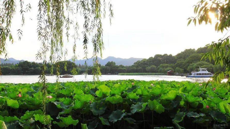 【中州作家】王小义:我的小学(四)_父亲_初中_英语