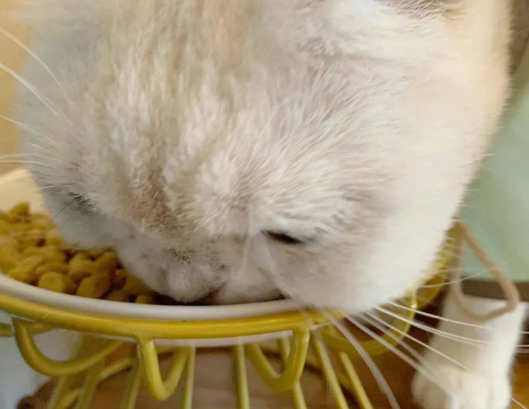 瓜群众群嘲:发腮了啊小可爱~脸蛋子肿得有乒乓球辣么大,突然就过敏了!