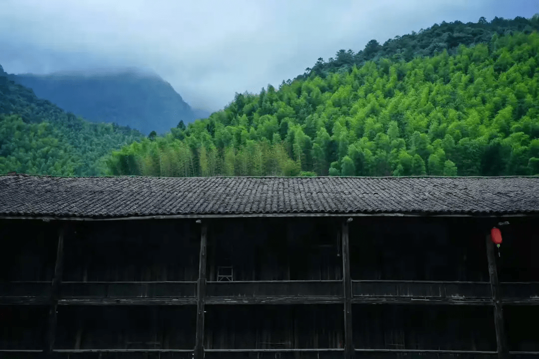 在桐木村,你会发现木质结构,阁楼造型,错落有致的连排房屋,或伫立在