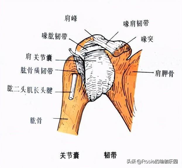 关晓彤卡点为鹿晗庆生，恋爱甜美身段更火辣，3步get同款曲角肩