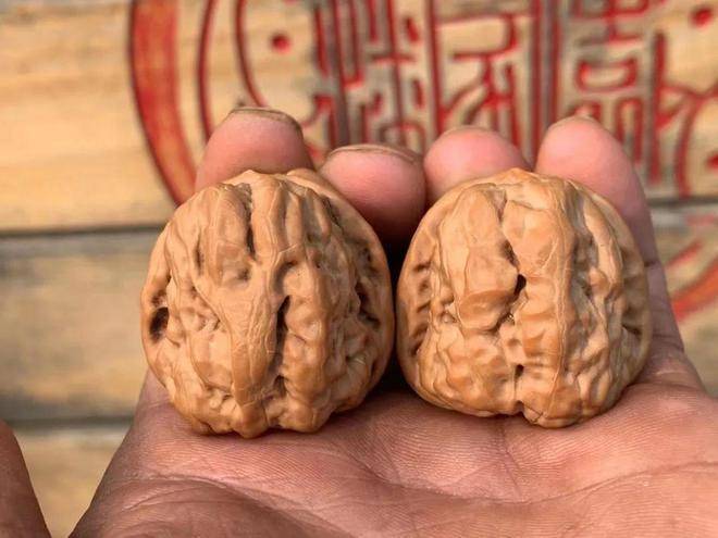 核桃圈的网红蛤蟆头，为什么这么火？_搜狐网