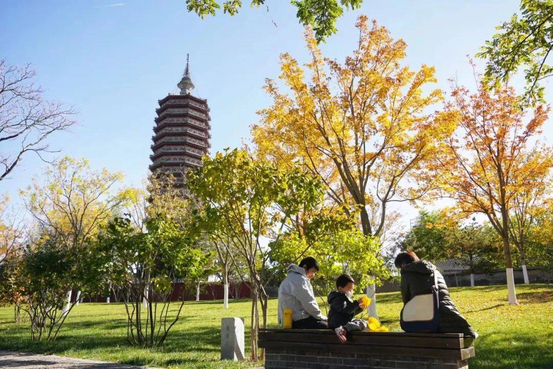 秋染副中心 | 畅游五大园，安步赏金秋，通州绝美秋景邀您打卡！