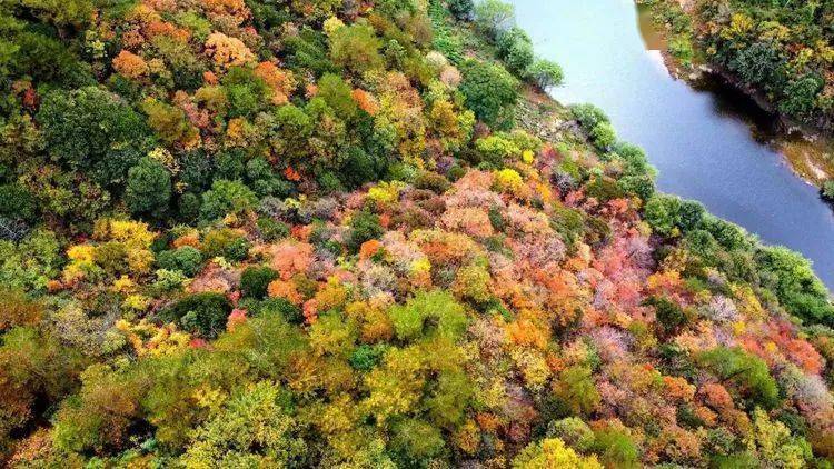 金寨龙井河大峡谷秋景怡人……_悬崖_水潭_大自然