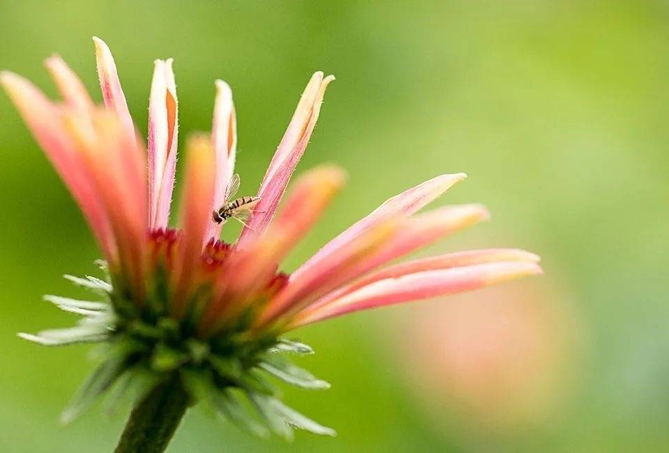 美的空调持续发力家用中央空调市场,统一辅材包后再推免费安装-家电圈官网