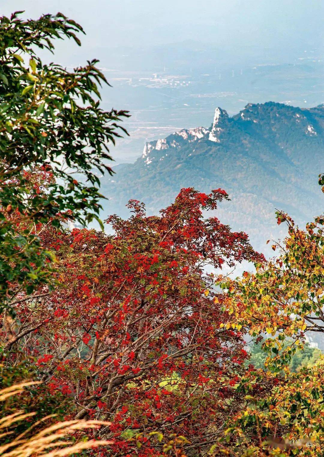 泰山八大景图片