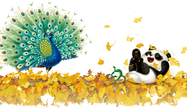 "童书皇后"杨红樱专为学龄前儿童精心创作,熊猫咪咪将带你去观察,认知