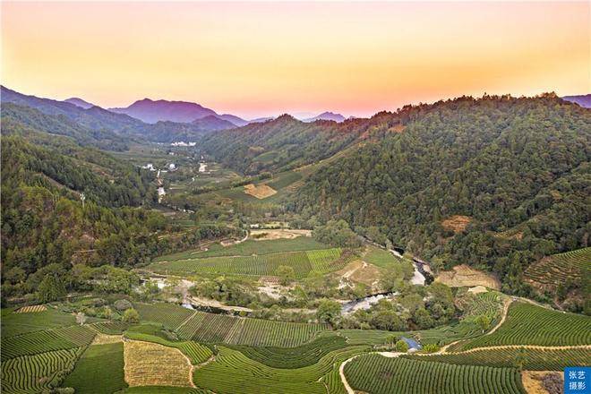 武夷山星村人,代代相传以香识茶,"正谷溪香"的百年锁香之道_茶园_茶叶