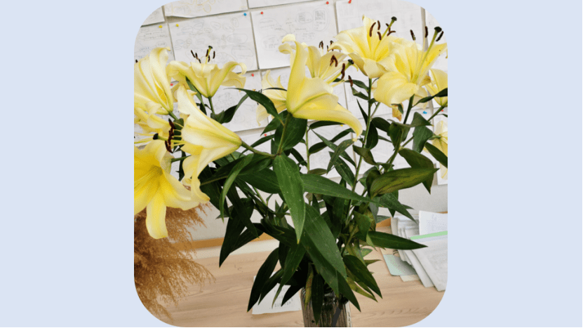 孩子们一来教室就感受通过浓浓的百合花香感受到老师们对他们的期盼之