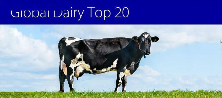 法国身体乳液排行榜_2015年中国身体乳十大品牌排行榜(2)