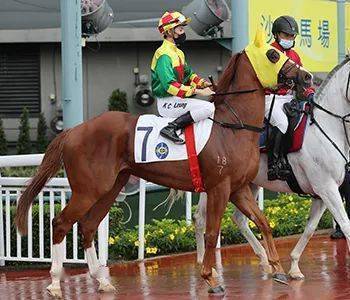 烽火台｜巫显东黎海荣图破闷局