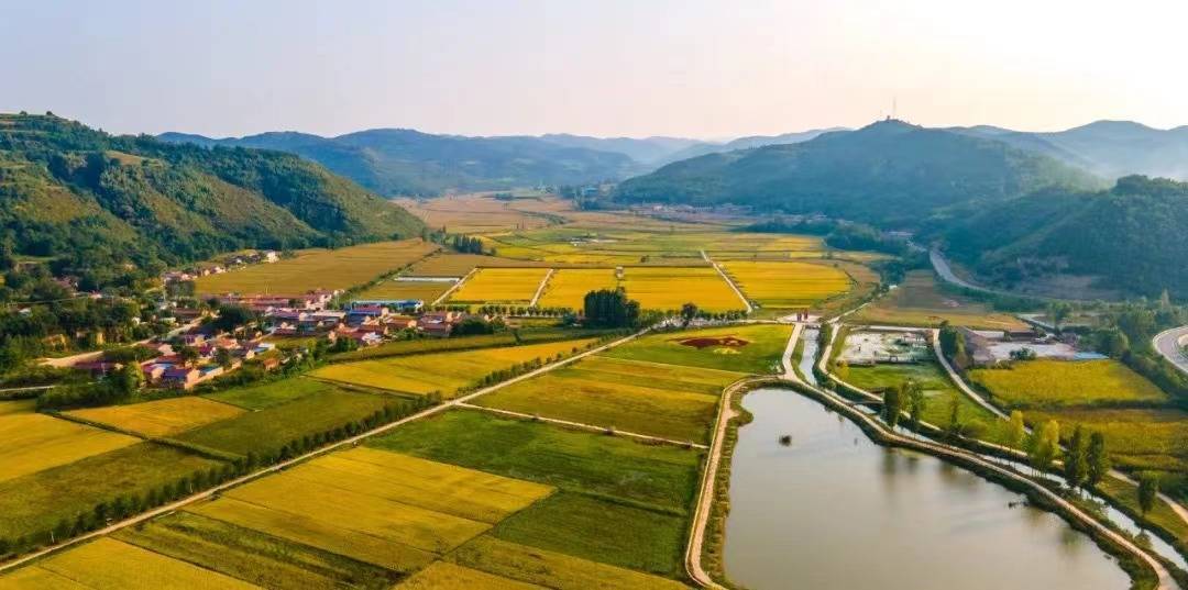 峥嵘十年丨陕北小镇蝶变记:红色直罗万亩稻花香_直罗镇_进攻_葫芦